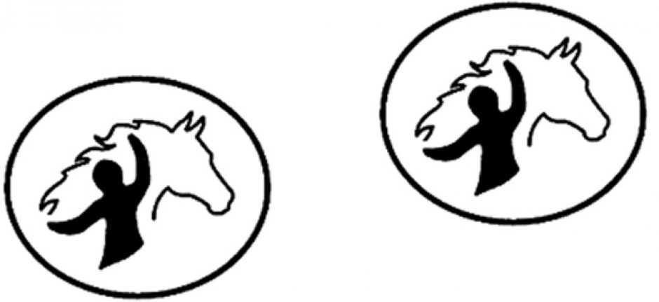 Expertisecel Mens en Paard