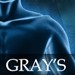 Gray's anatomy