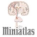 miniatlas pain